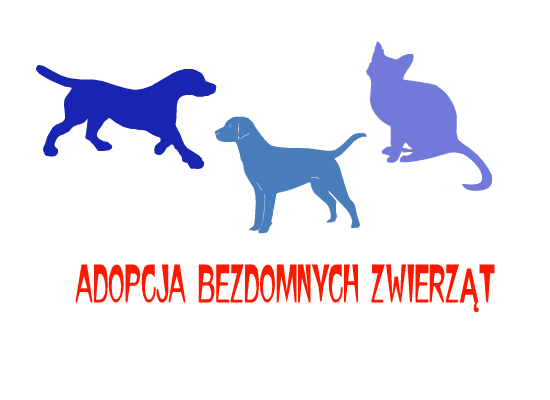 WARSZTATY PRZYRODNICZE