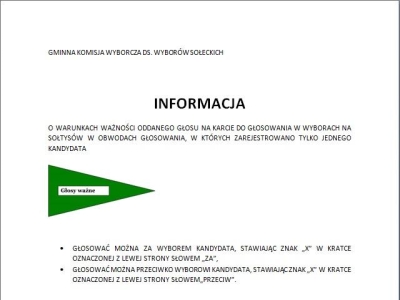 Wybory Sołtysów i Rad Sołeckich - 15 grudnia 2024 r. - zdjęcie4