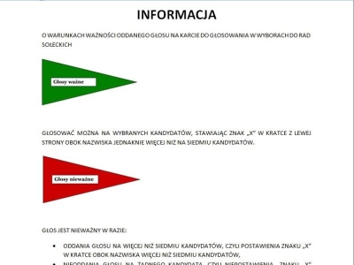 Wybory Sołtysów i Rad Sołeckich - 15 grudnia 2024 r. - zdjęcie3