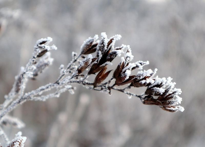Ostrzeżenie meteorologiczne dla powiatu żywieckiego 