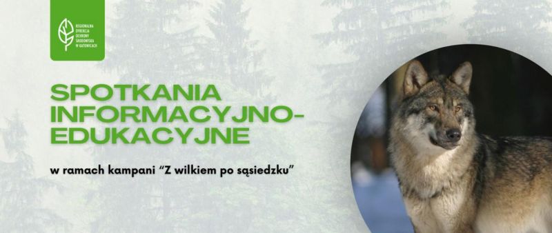Spotkanie informacyjno-edukacyjne w ramach kampanii Z wilkiem po sąsiedzku - GOK Świnna, 13 października